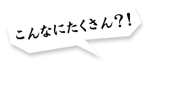 こんなにたくさん？！えびしゃぶ